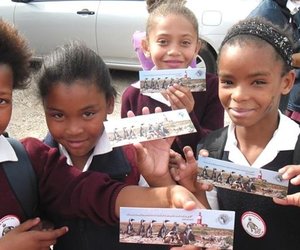 Okkie Smuts stap vir Pikkewyne